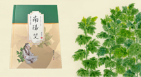 【行業(yè)資訊】國內(nèi)首部艾草專著《南陽艾》，在南陽新書首發(fā)！